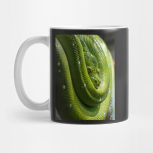 Green Tree Python, Australian Reptile Mug